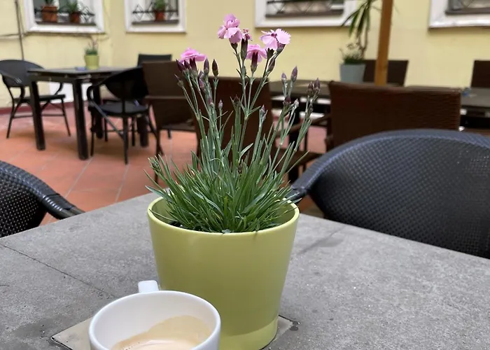 Mp Auberge de jeunesse