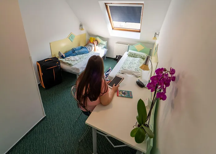 Auberge de jeunesse Mp *